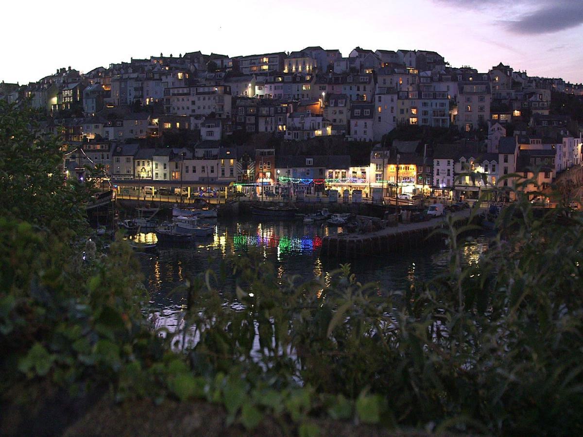 Driftwood Brixham